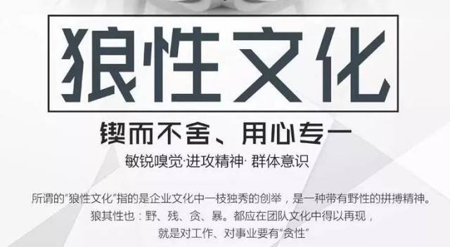 欧美X性文化探讨-第1张图片