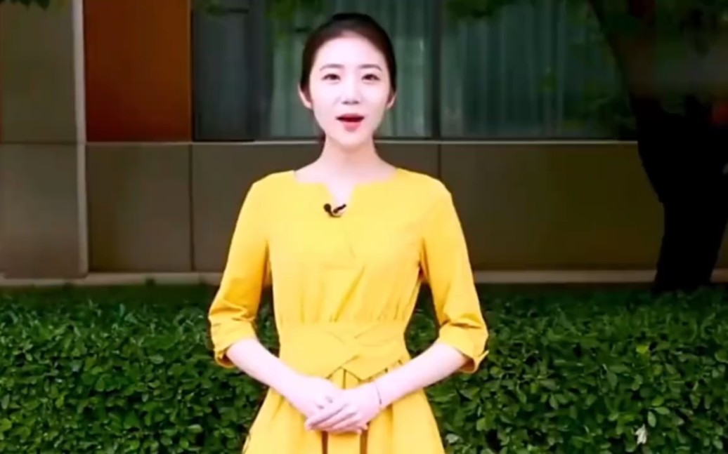 张津权个人资料张津瑜七段视频整合版，深度解析与回顾