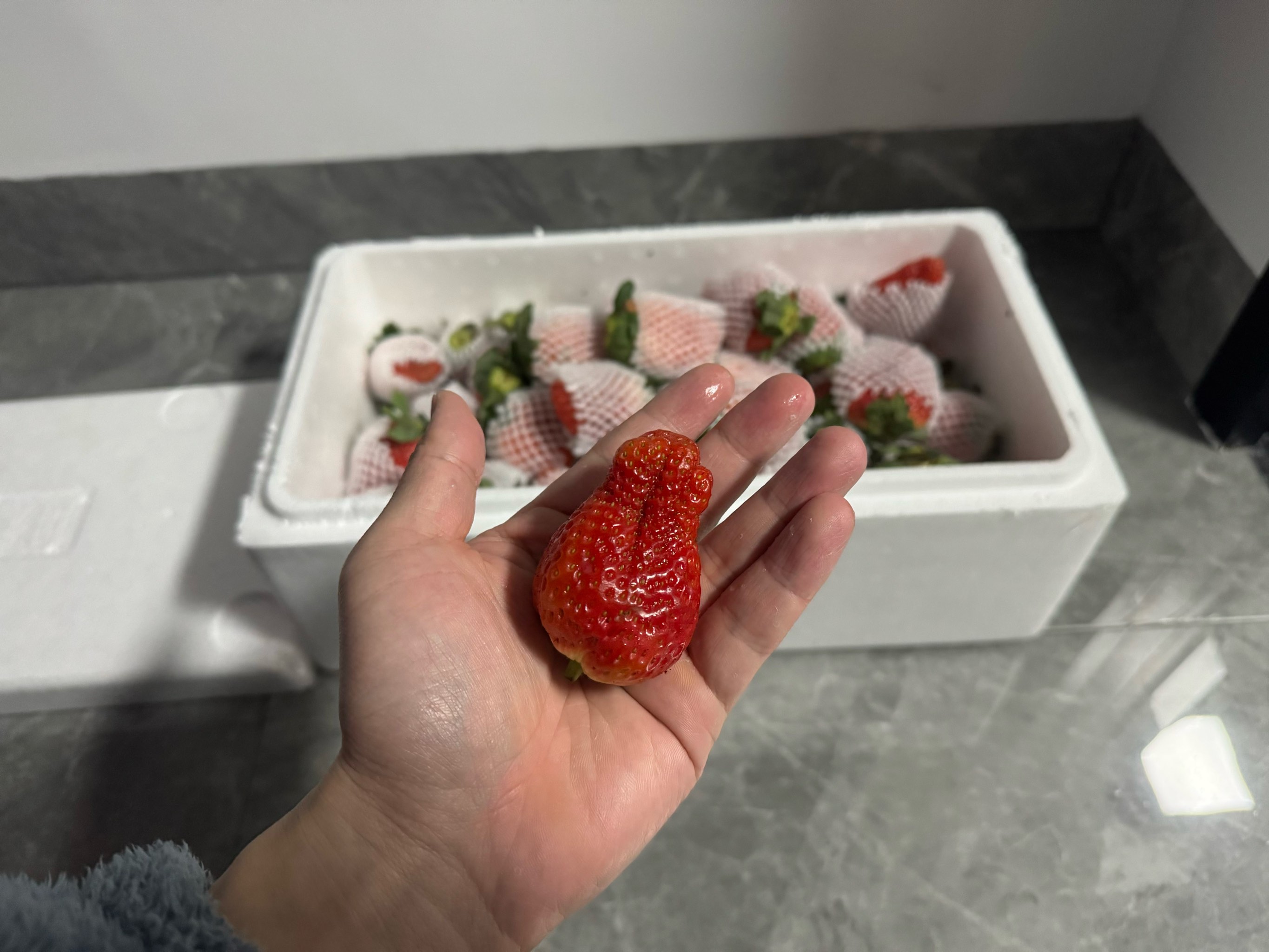草莓视频释放深夜的自己深夜的自我释放——草莓视频的魅力之旅