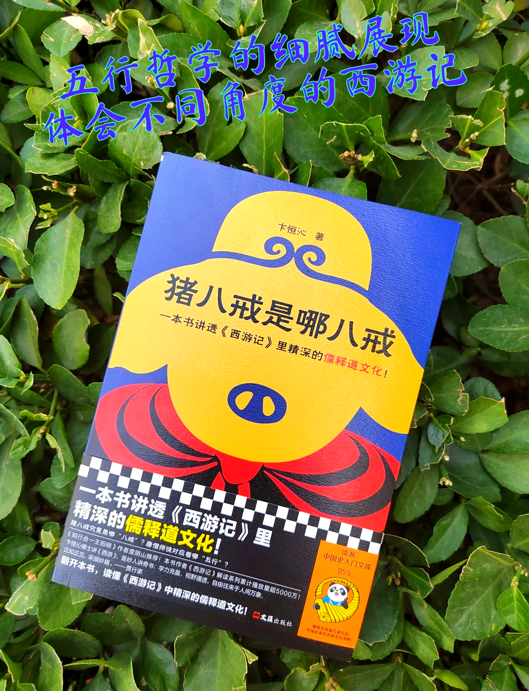 八戒电影官网无广告八戒八戒，免费下载的快乐之旅在神马影院