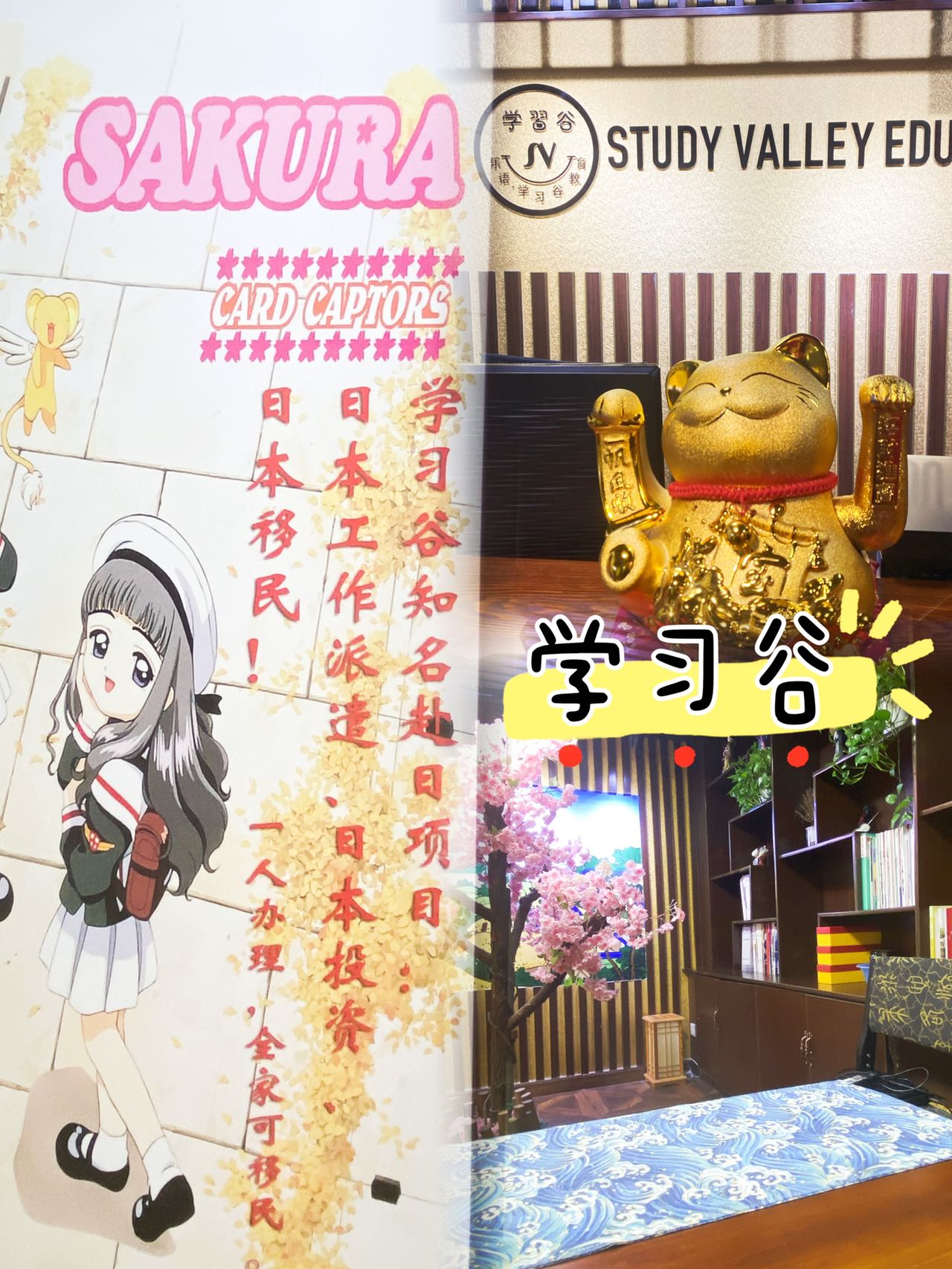 探索日本最新免费二区-第3张图片