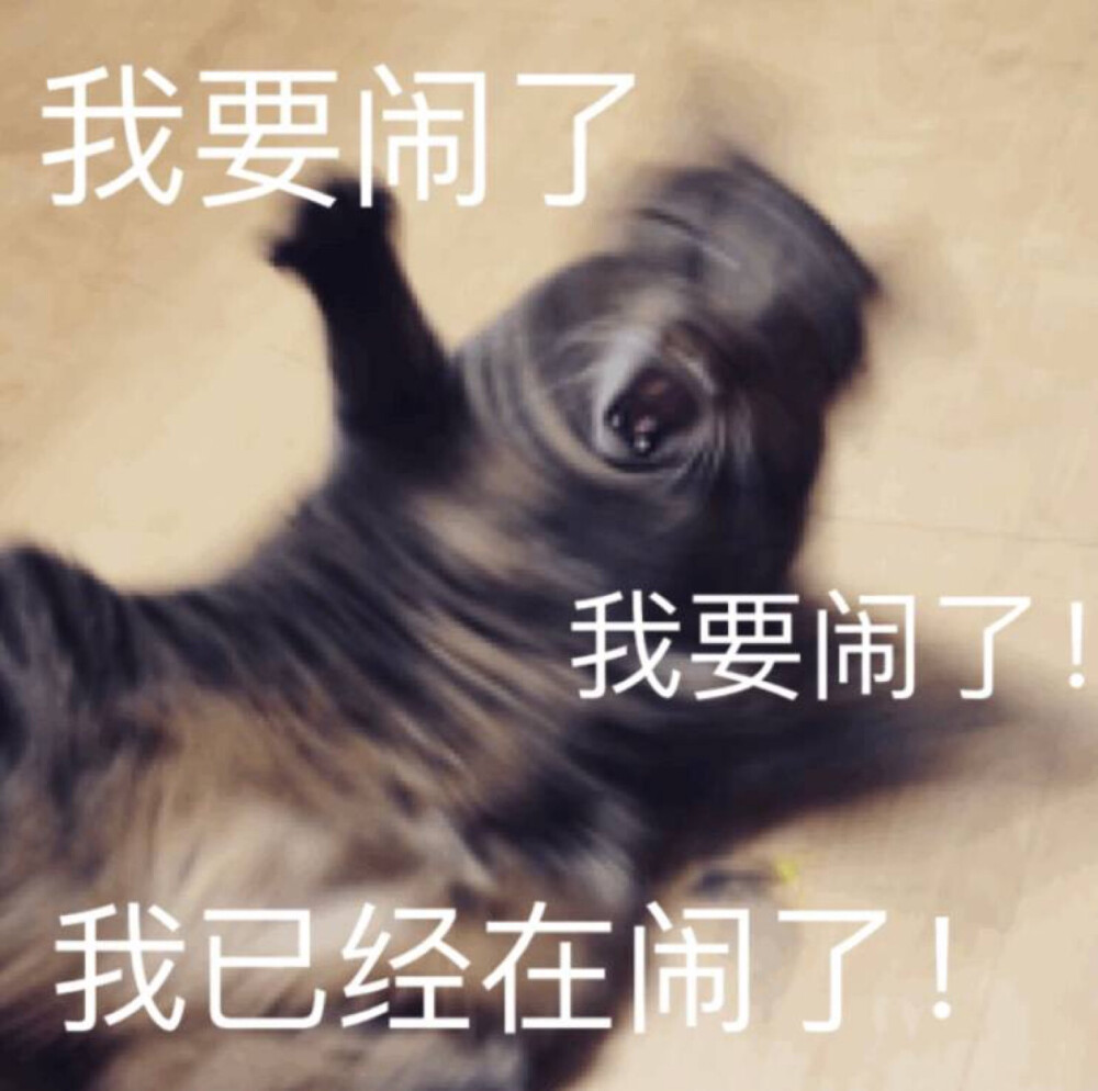 你进来了吗我要开始叫了表情包电视剧你进来了吗？我要开始叫了——表情包背后的故事与趣味-第2张图片