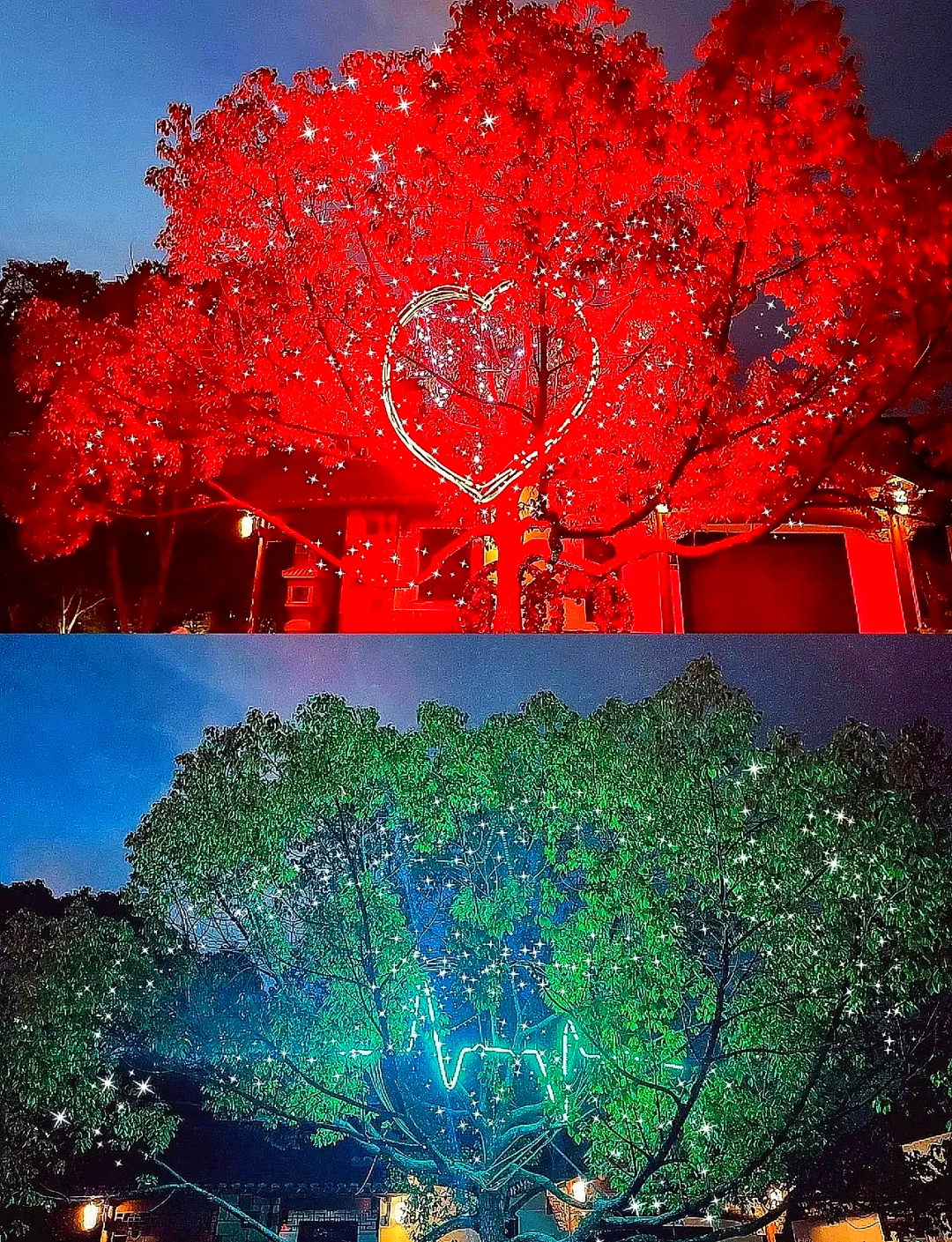 月光影视大全在线观看电视剧免费月光影视，光影交织的艺术之旅