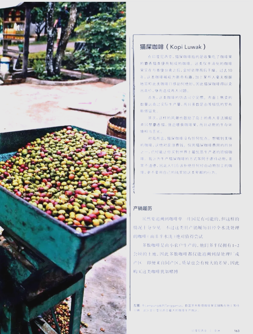 探索亚洲的独特魅力——有码区之旅-第1张图片