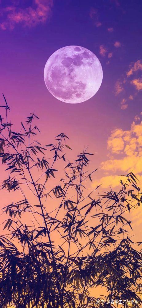 2020年最火爆的壁纸花2020年最火爆的壁纸，视觉潮流的引领者