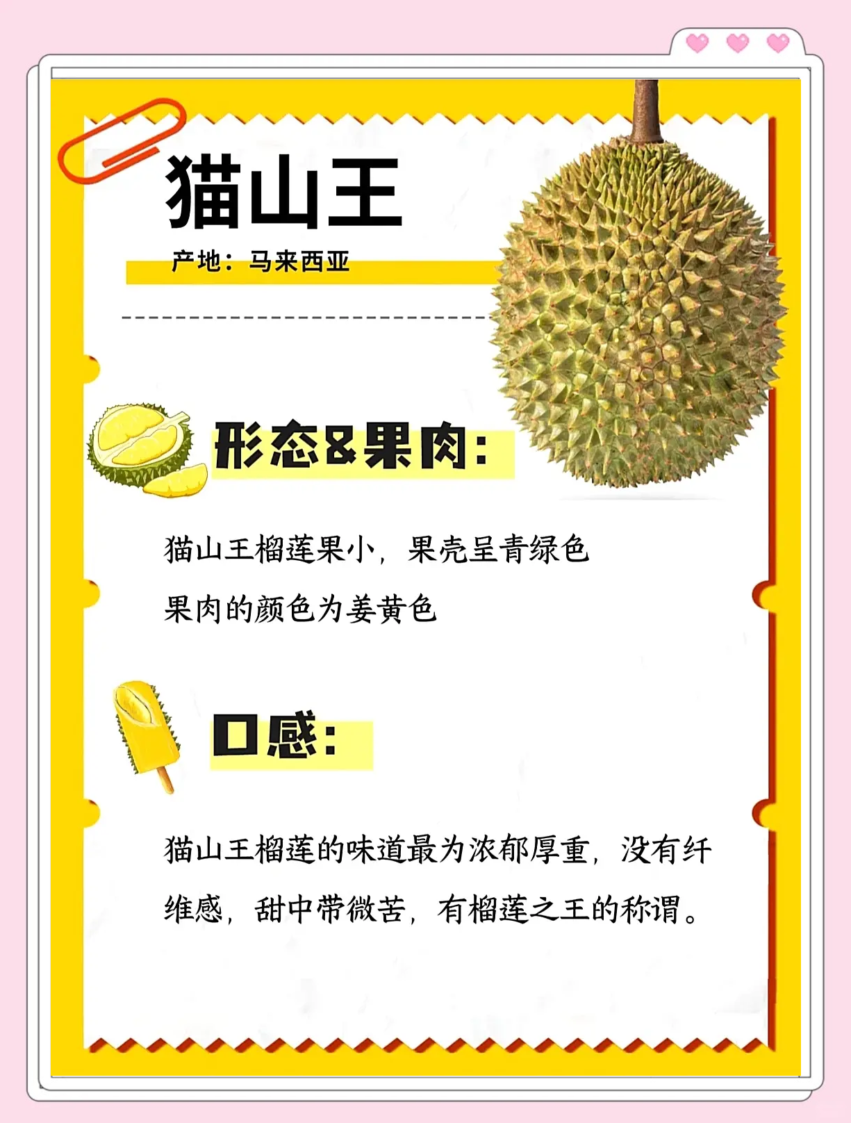 榴莲app最新版本下载官网的全面解析